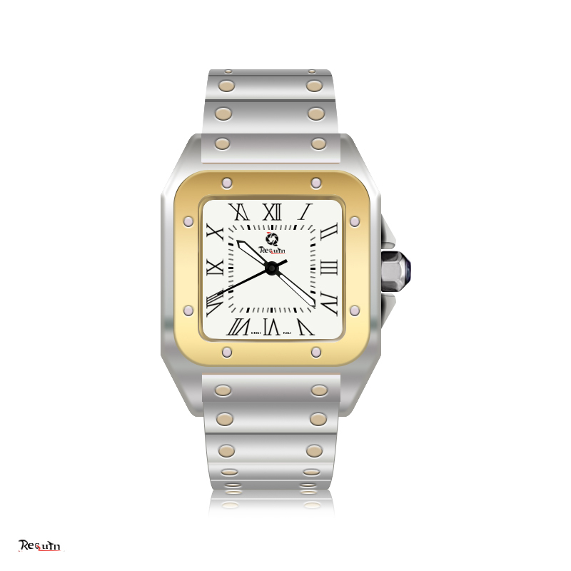 

Men's Luxury Automatic Mechanical Watch 100XL REQUIN Santo Silver Gold Stainless Steel Case WSSA Three Hands Dial Sapphire Waterproof Quality, Box