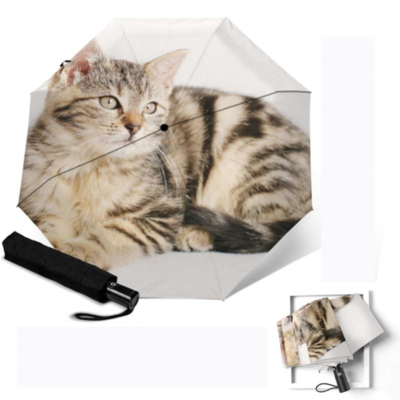 

Umbrellas Tabby Cat Printed Fully Automatic Sunny Rainy Parasol Anti-uv Umbrella For Women Fashion Creative 3 Folding Parapluie