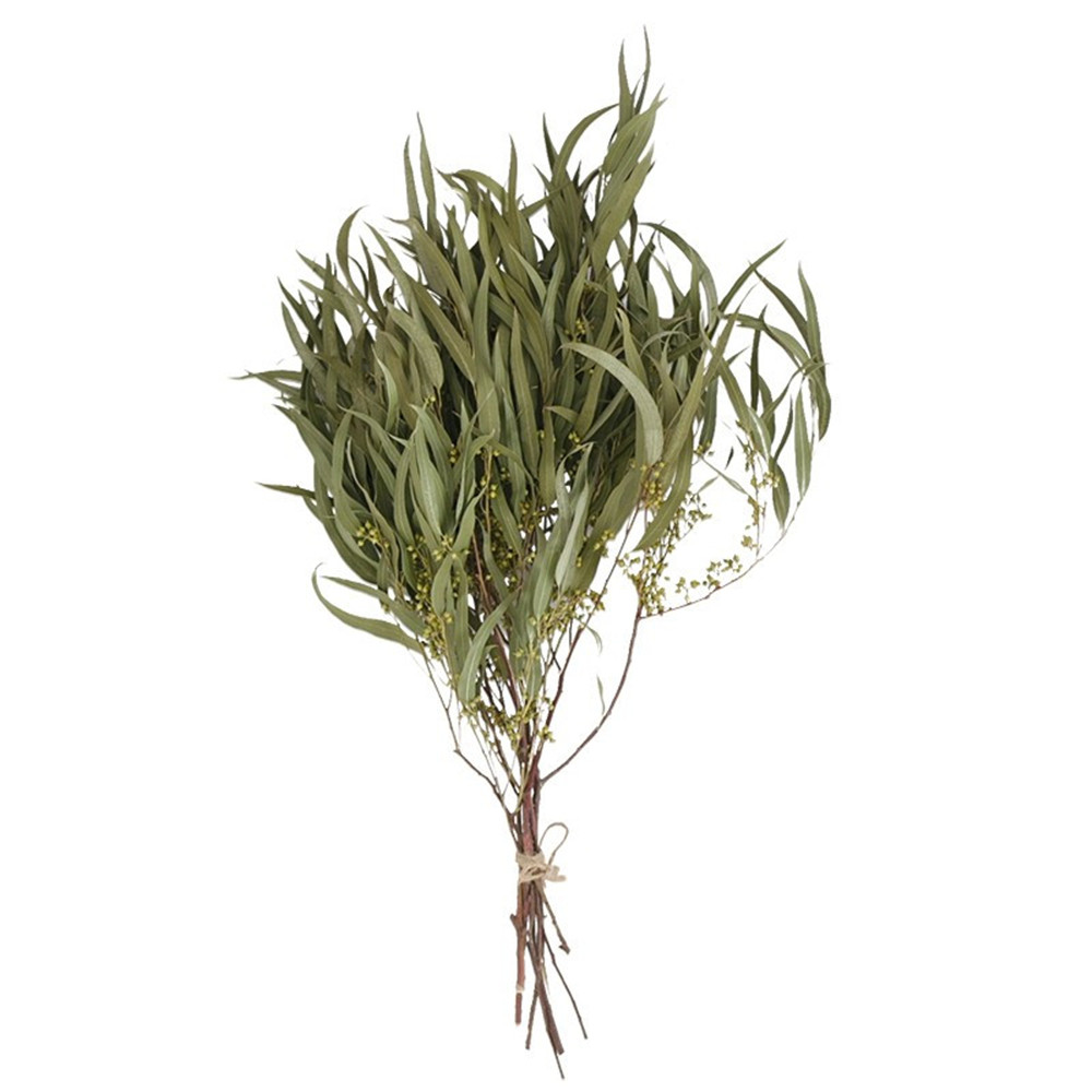 

Natura Eucayptus eaves Branches Stems Dried Fower Rea Pant Ornament for DIY Wedding Shooting Prop Home Decoration pies, Dark green