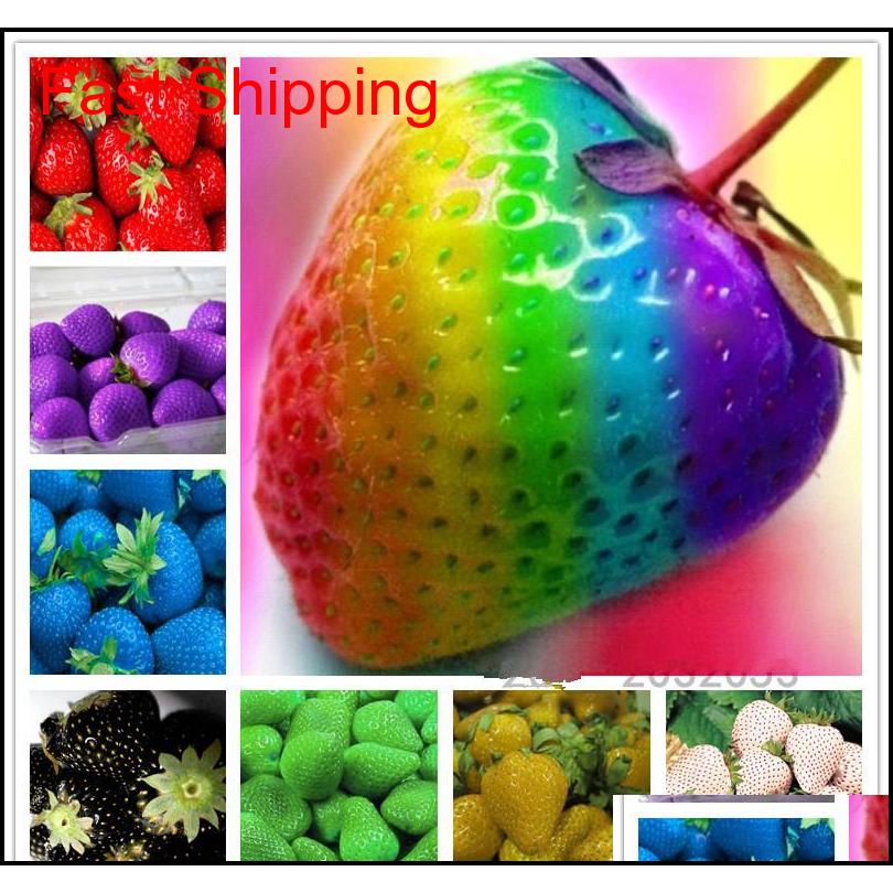 

Other Supplies 200 Pcs Stberry Seeds Indoor Sementes Giant Climbing Sweet Fruit Home Garden Bonsai Potted Plants Gift For Kid 7Qwoe N1Ygv