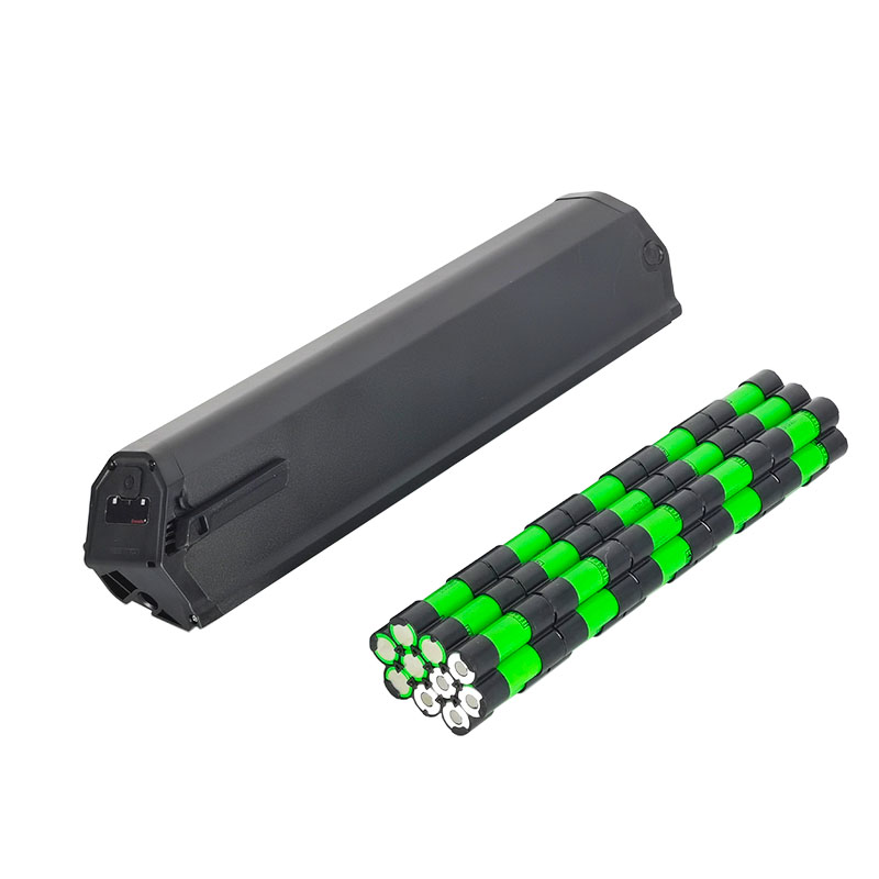 

Reention Dorado Battery NCM moscow Ebike Batteries 36v 11.6ah 48v 17.5ah 21ah 14ah Electric Bike Battery for 1000W 500w 250w 750w with charger