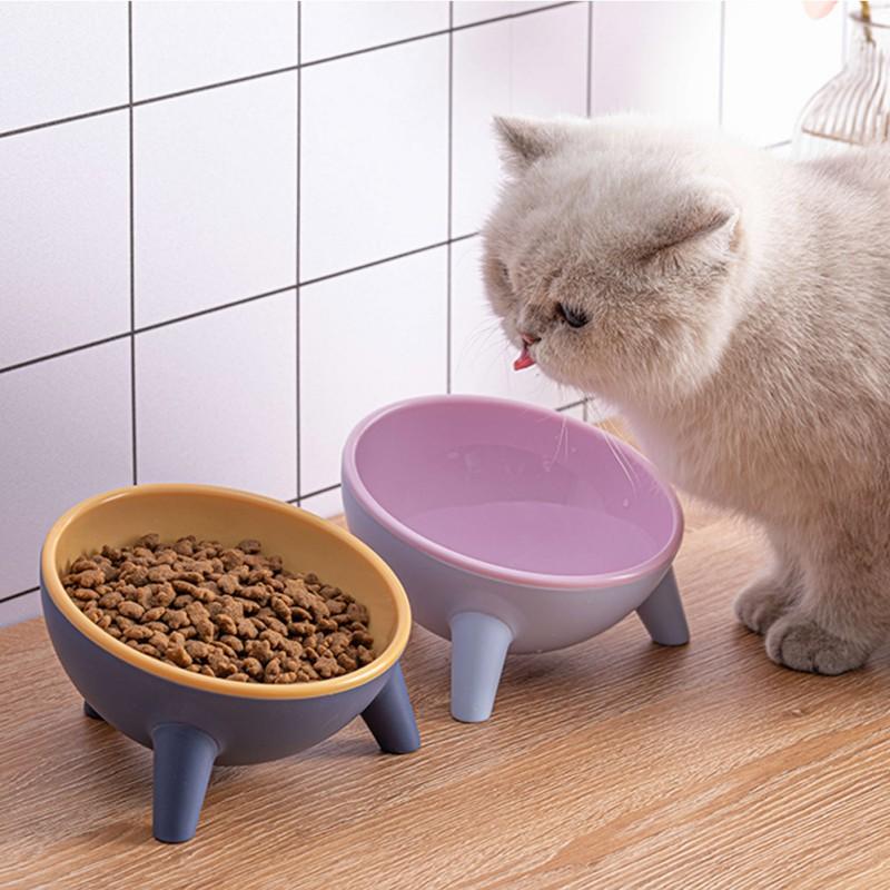 

Cat Bowls & Feeders 15° Tilt Pet Bowl With Stand For Storage Of Food Raised Non-slip Neck Guard Eating Small Dogs Supplies