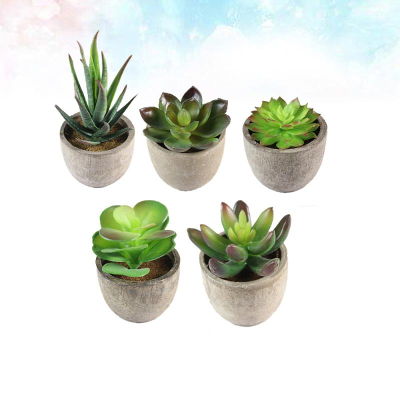 

Decorative Objects & Figurines 5PCS Simulation Bonsai Plastic Encrinite Plants Succulents Ornament For Desktop