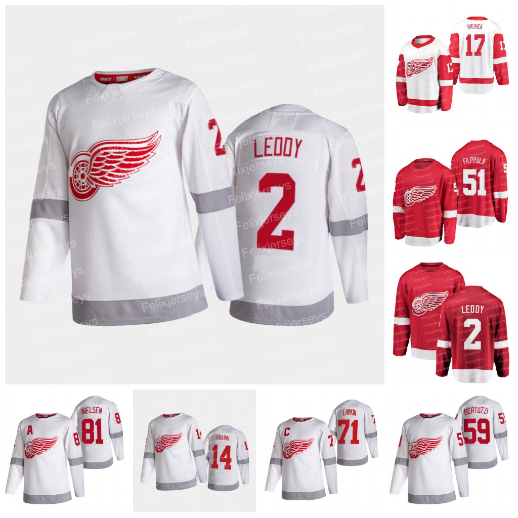 

Womens 2 Nick Leddy Detroit Red Wings Reverse Retro Jersey 71 Dylan Larkin 17 Filip Hronek 14 Robby Fabbri 59 Tyler Bertuzzi 51 Valtteri Filppula 81 Frans Nielsen, Reverse retro jersey women: size s-xxl
