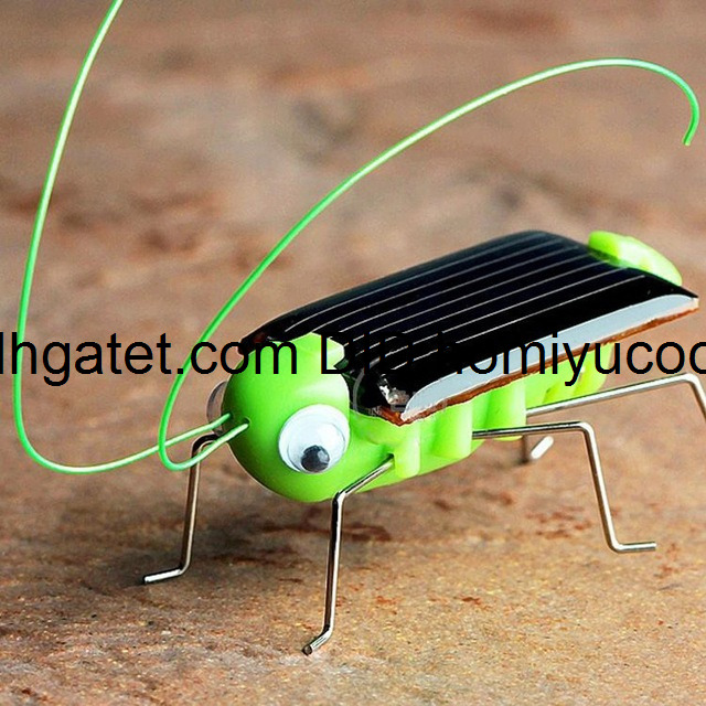 

Funny Solar Insect Solar Grasshopper Solar Cricket Educational Toy birthday gift