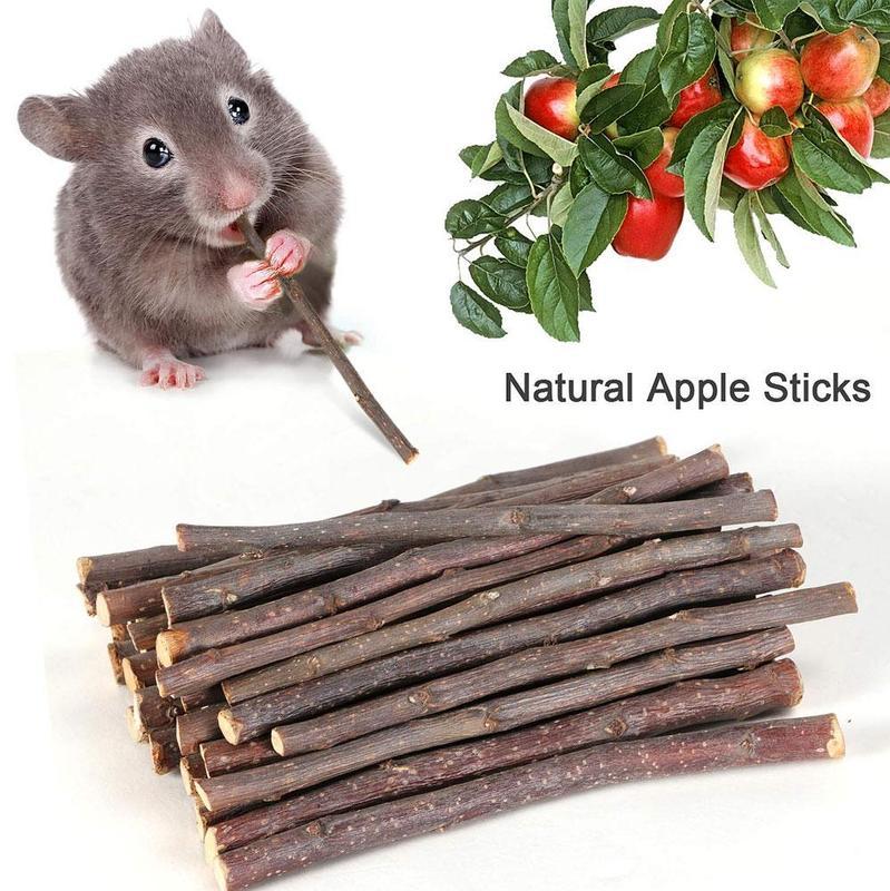 Pet Playing Small Pets Rabbit Hamster Guinea Pig Parrot Toys Hamster Chew Toy Wood Sticks Twigs Cleaning Teeth Chinchilla-image-691401556