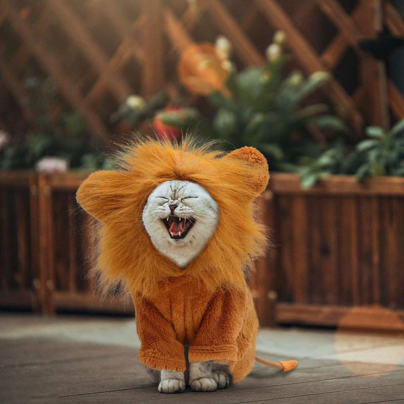 

Dog Lion Costume Pet Halloween Party Simulation Cosplay Dress Up Hoodie Cat Apparel