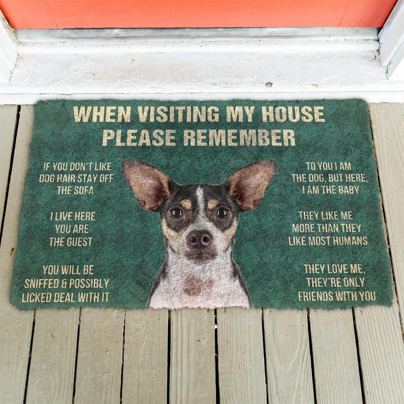 

Please Remember Rat Terrier Dogs House Rules Doormat Non Slip Door Floor Mats Decor Porch Carpets