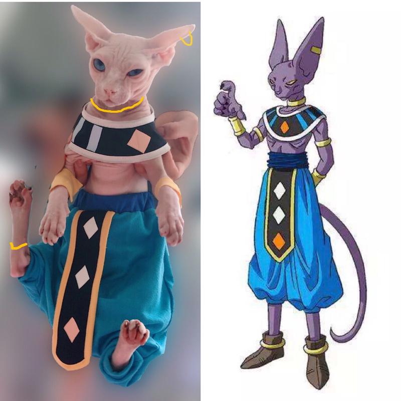 

Sphinx Hairless Cat Clothes Cosplay Dragon The Destroyer Beerus Cape Crotch Pants Anime Pet Costume Costumes