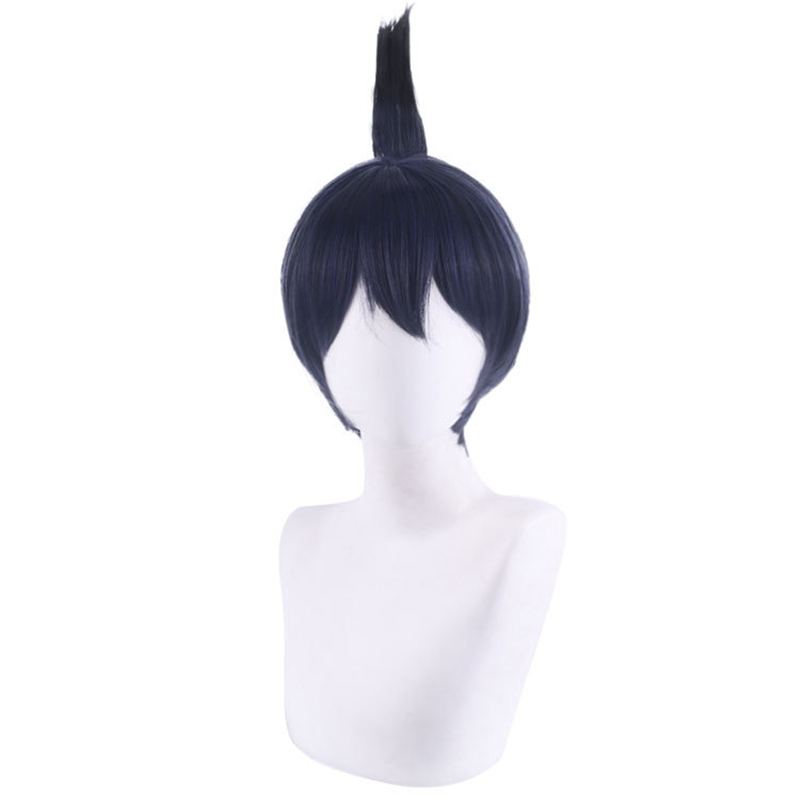 

Anime Chainsaw Man Hayakawa Aki Cosplay Wig Blue Black Short Synthetic Fake Hair Halloween Role Play Costume Wigs, L-860