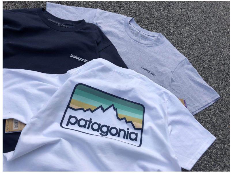 

T shirts, tee, tops, shirt, polo shirts European and American fashion T-shirt this year Patagonia men's loose cotton short sleeve factory direct sales, Gray