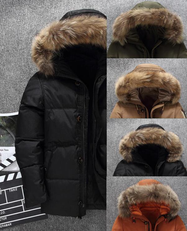 

0, Black;brown