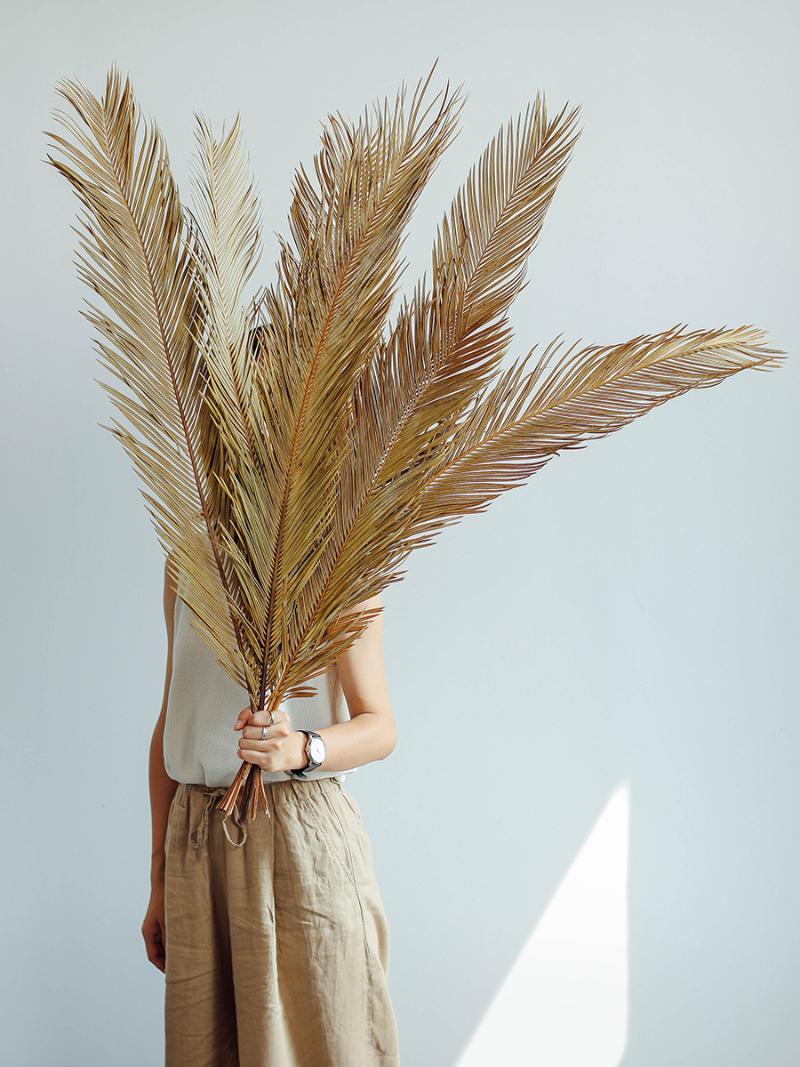 

Decorative Flowers & Wreaths Fruticose Dracaena Leaf ,Natural Dried Plant Sago Cycas Branch,Dry Palm Fan Leaves,Party Wedding Home Table Dec