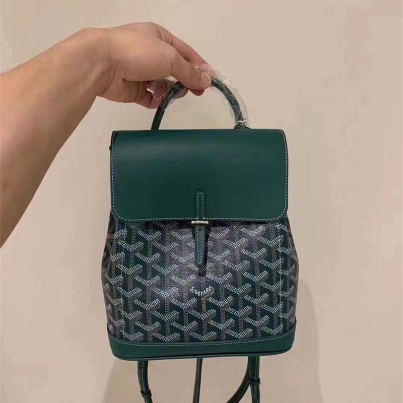 

2021 New Alpin Mini Backpack Goya Printed Schoolbag Single Shoulder Messenger Flip Bag for Men and Women
