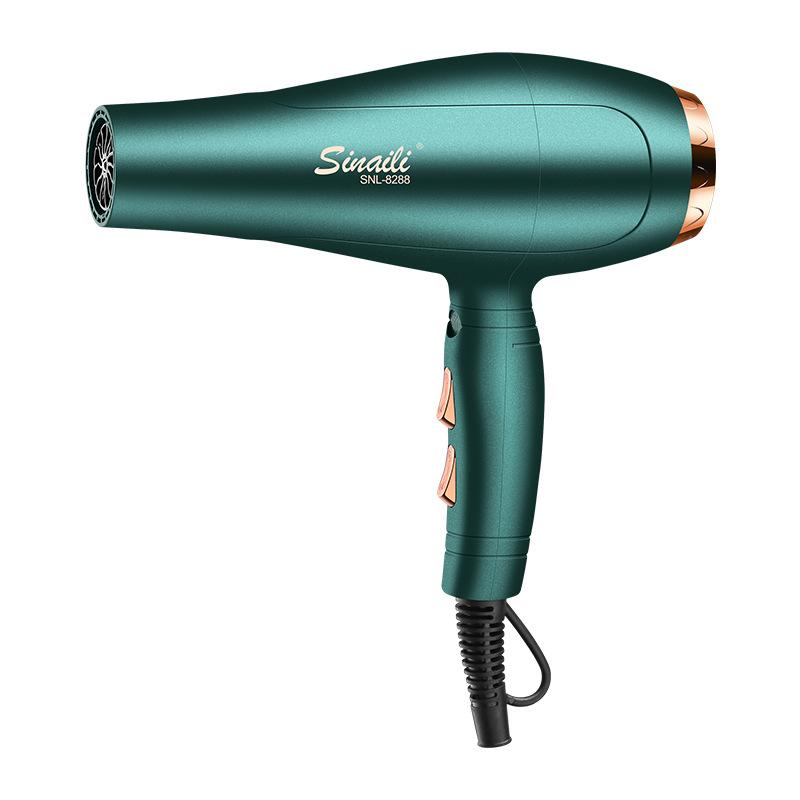 

Electric Hair Brushes Anion Dryer 5mins Quick Dry Blow Professinal Intelligent Constant Temperature 5 Speed Lightweight And Quiet Hairdryer