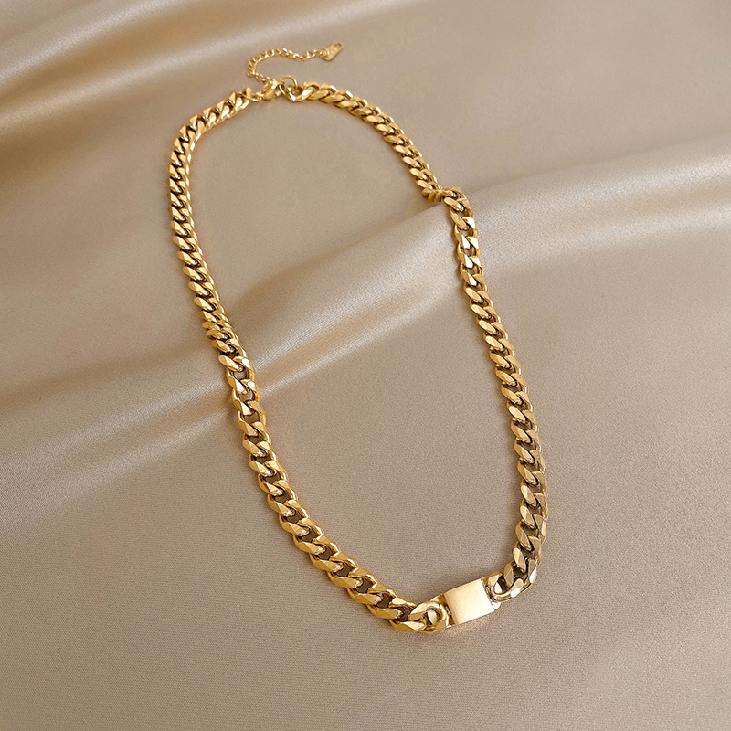 Xianlan430 Titanium Steel Metal Thick Chain Necklace Female Ins Cold Wind Collarbone Chain Luxury Niche Design Web Celebrity Brief-image-706264900