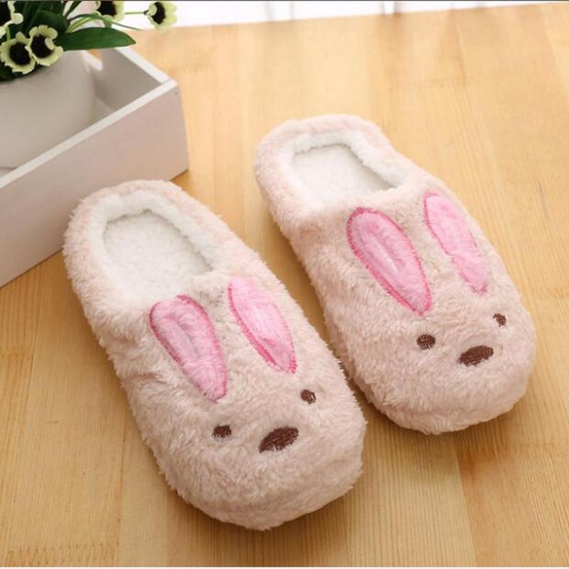 

Women Cotton Lovers Home Slippers Cartoon Winter Floor Soft Female Shoes, Brown