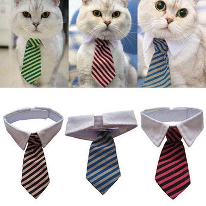 

Cat Costumes L40 Fashion Dog Striped Bow Tie Collar Pet Adjustable Neck White For Tuxedo Color Random Water Towel Bowknot