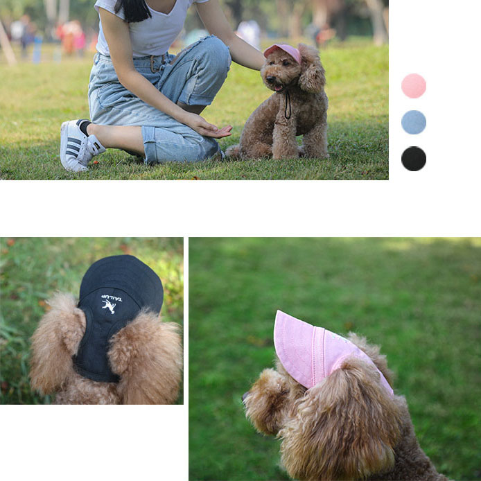 dog sun hat uk