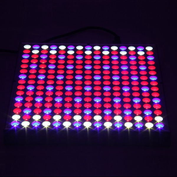 

Excelvan 14W 225 SMD LED Hydroponic Plant Grow Light & Lighting Panel, Full Spectrum for Plant Flower Vegetable Greenhouse Garden, Red&Blue&White Indoor Plant Grow Light