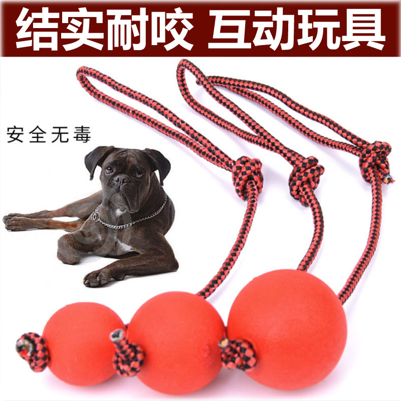 

Pet toy golden teddy bear pomera rope solid rubber biting ball molar tooth cleaning