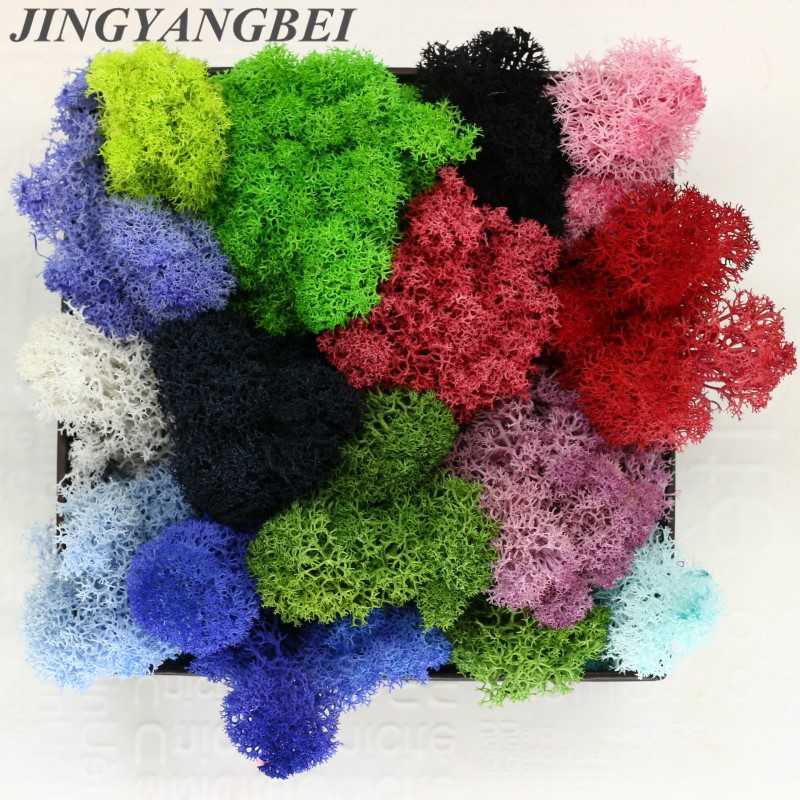

Eternal Life Moss Garden Home Decoration Wall DIY Flower Material Natural Norwegian Reindeer Moss Micro Landscape Accessories Y0630