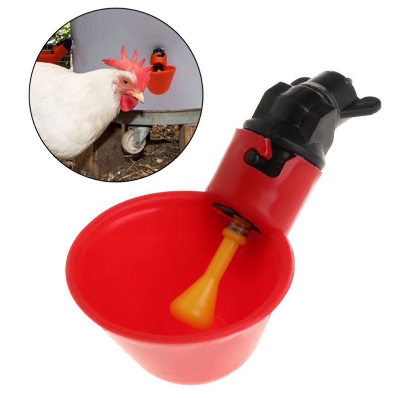 Automatic chicken Waterer parrot Drinking pot Water Feeder Birds Drinking cup For birds 40JA-image-693292663