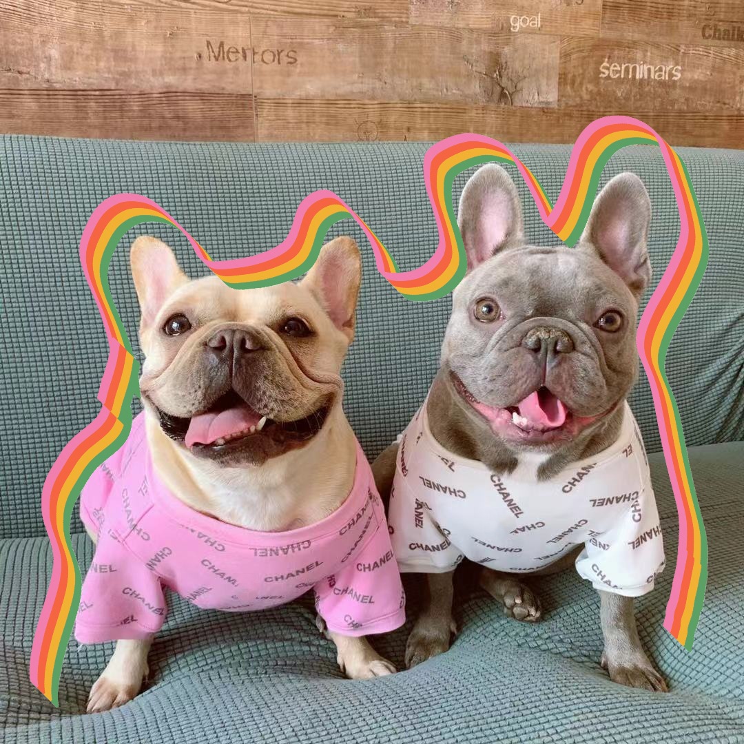 

2021 goods DHgate Dog Apparel Designer Small Medium Letter Print Clothes for French Bulldog Winter Coat Pug Puppy Sweater A03 201225, White