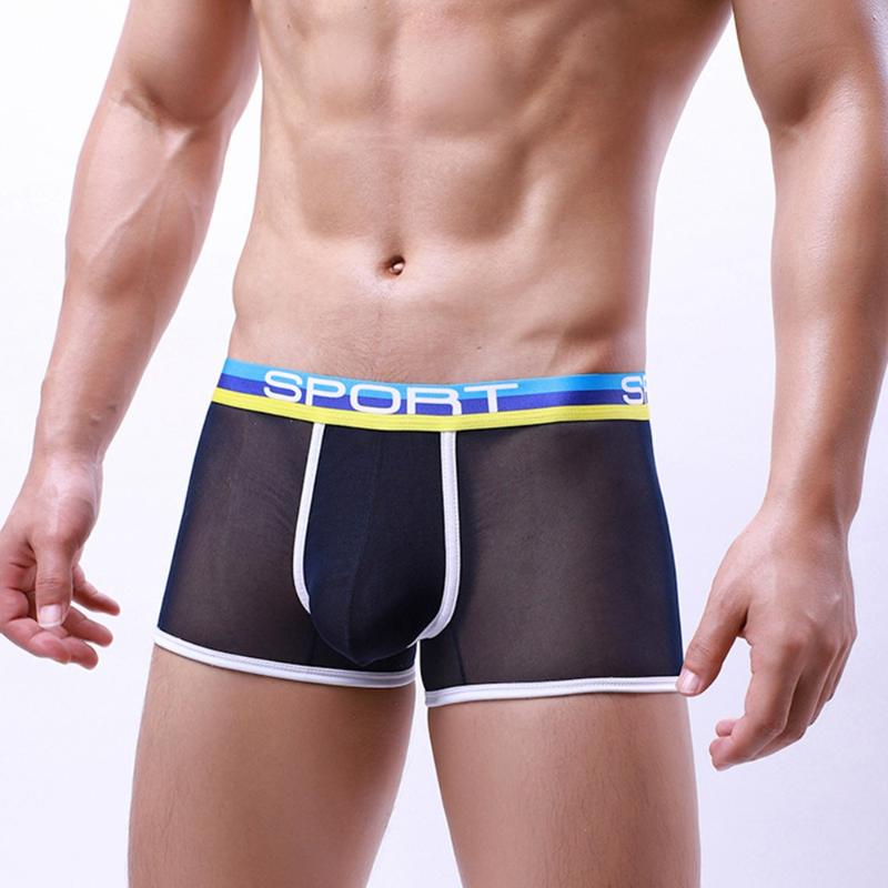 

Underpants Mesh Transparent Boxer Men Seamless Underwear Sexy Ultra-Thin Panties Convex Underpant Male Erotic Lingerie Pouch Shorts, White