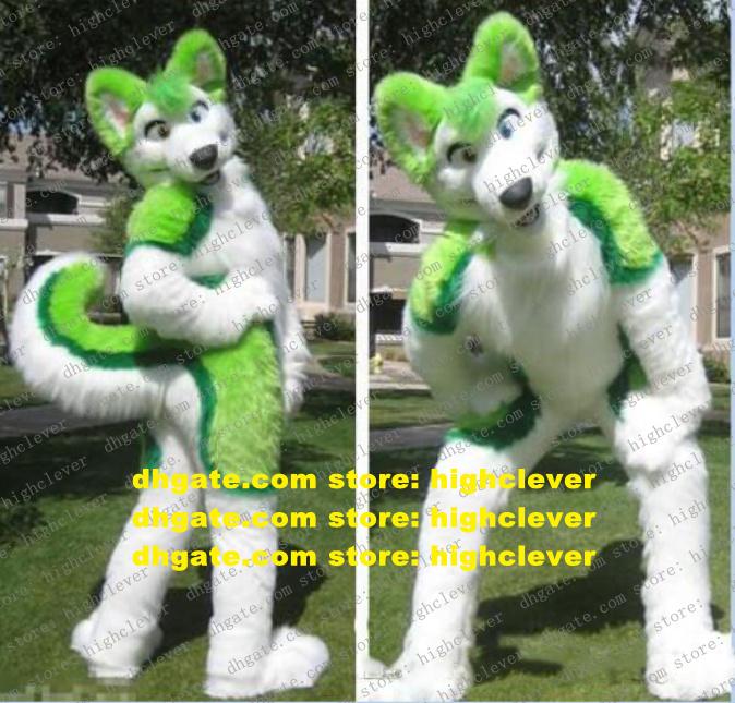 

Plush Furry Green Husky Dog Fox Wolf Fursuit Mascot Costume Adult Cartoon Character Outfit Mega-event Advertising Drive zz7596, As in photos