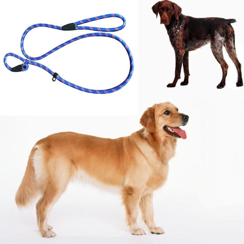 

Dog Collars & Leashes 140cm Pet Dogs Chain Millan Leash Shoresu Whisperer Slip Training Correction Lead Rope M11#35