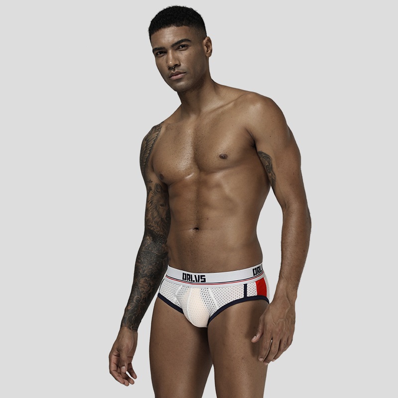 men underwear sexy gay briefs nylon breathable comfortable underpants slip homme male panties penis pouch men bikini mesh-image-745847955