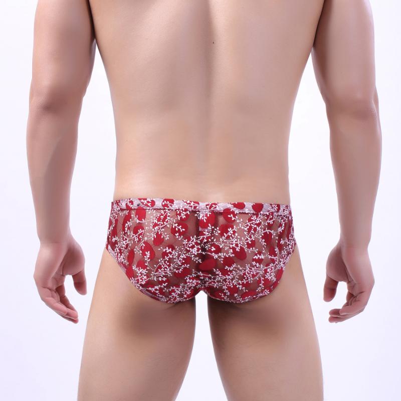 

Underpants Sexy Men Briefs Man Jockstrap Male Underwear Cueca Tanga Slip Homme Kincker For Quick Dry Gay Bikini Mesh Print HT055, White black