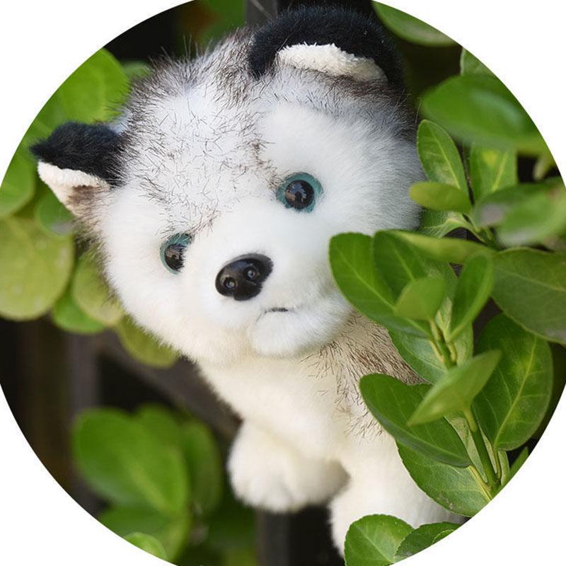 

Puppy Doll Plush Toys Husky Doll Ragdoll Children'S Toy Valentine'S Day Gift