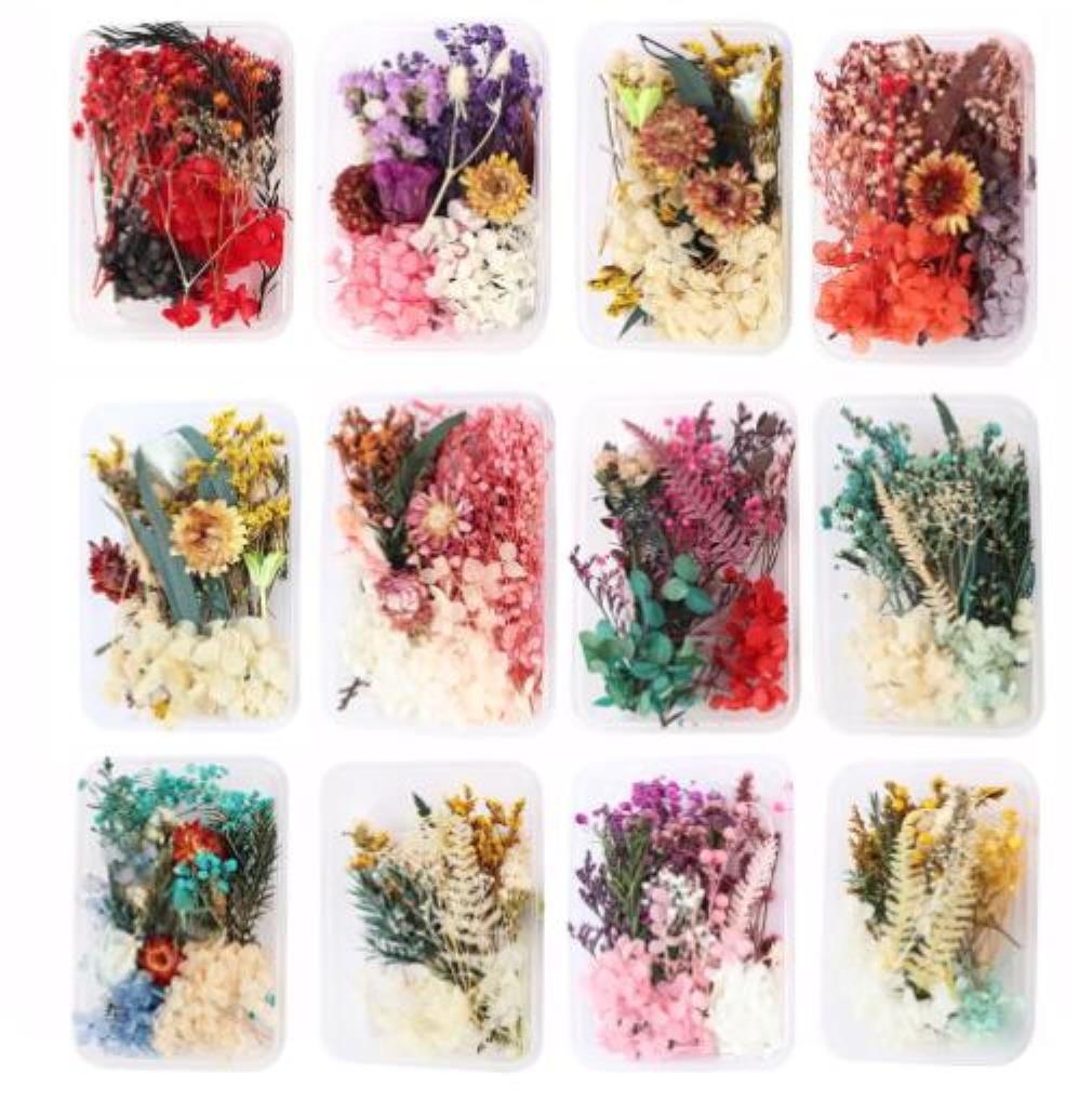 

Real Dried Flower Dry Plants For Wedding Party Home Decorations Diy Craft Aromatherapy Candle Living Room Acc jllxIM