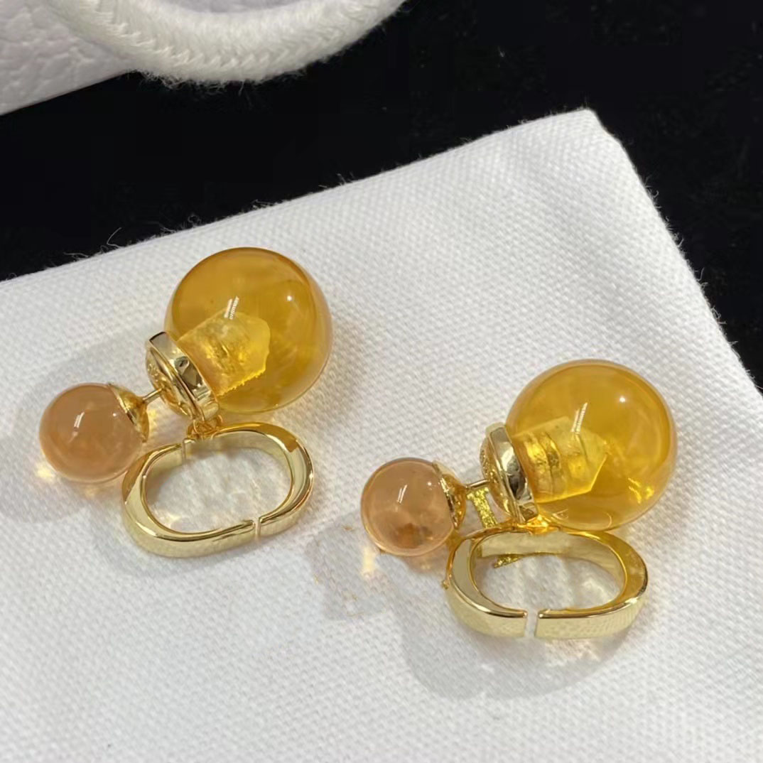 

Luxury Designer D Home Fashion Orange Resin CD Letter Pendant Earrings Women's Party Couple Gift Jewelry