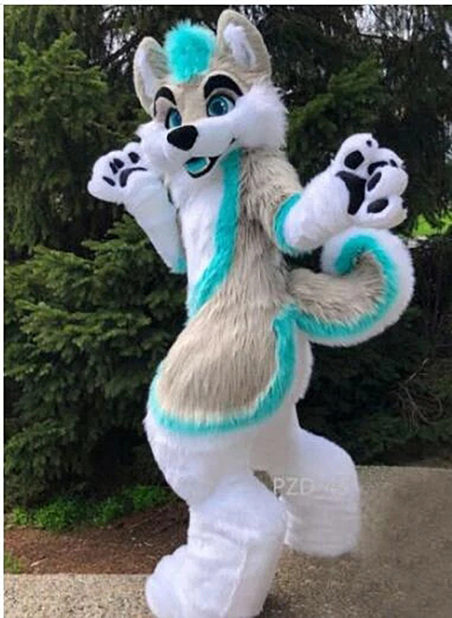 

Factory Direct Sell Grey Dog Fursuit Mascot Costume Fancy Dress All Sizes Brand New Complete Suit, As pic