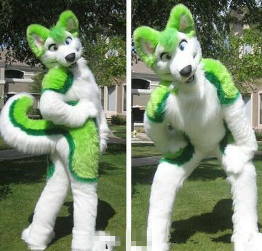 

Mascot doll costume Halloween Fursuit Long Fur Fox Green Husky Dog Mascot Costume Suit Party Game Dress Adult Carnival Xmas Easter Adults, Default color