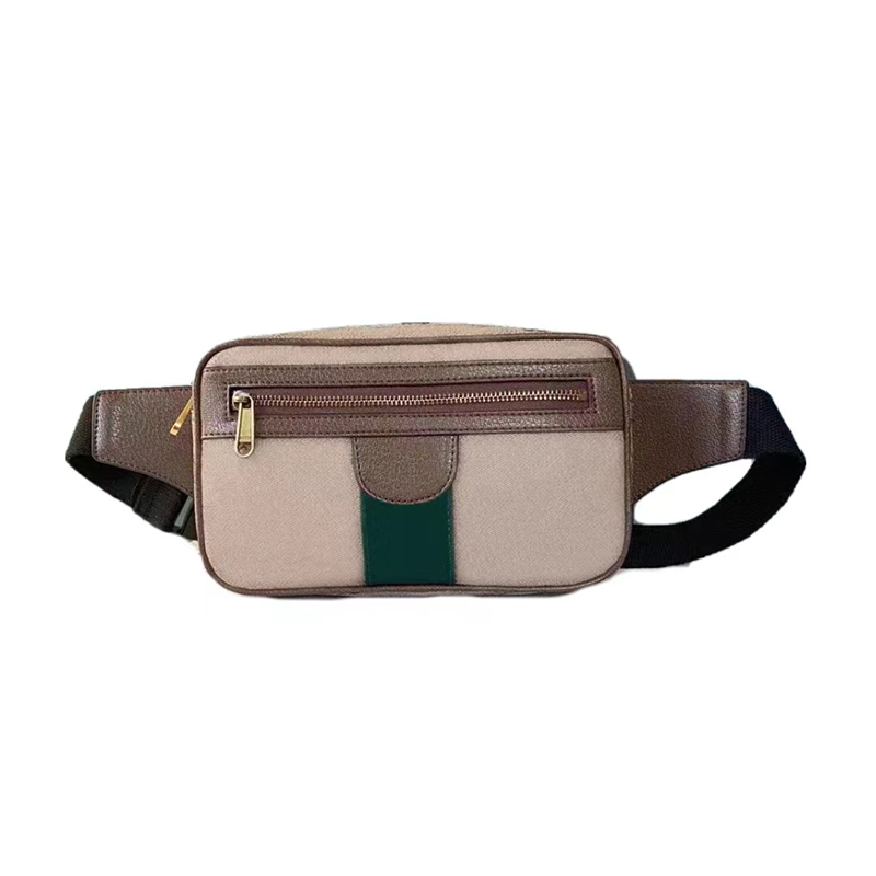 

designer men bumbag Luxury fanny pack Vintage purse fashion Waist Bag for women special canvas Lady purses handbags classic stripes leather belt metal logo, Brown