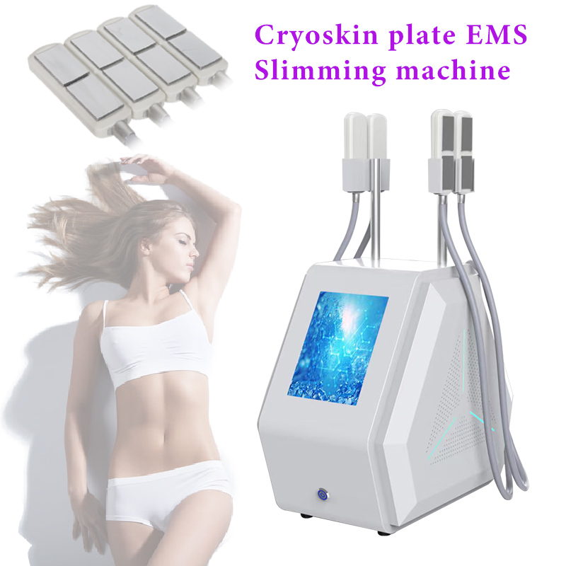 

Multifunction Cryo lipo pads Laser 4 Mode Ems Easy Fat Loss slimming Machine massage cryo equipment