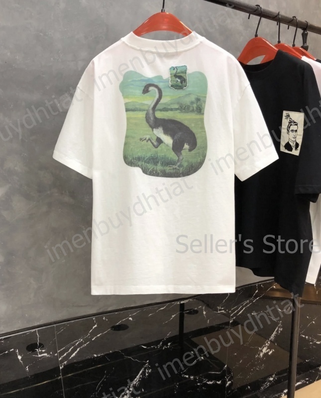 2022 Nordic Luxury Brand Ac Studios Summer Short Sleeve t Shirt Version Dinosaur Print Tee Men Women Couple Cotton Hip Hop High Street Casual Ove
