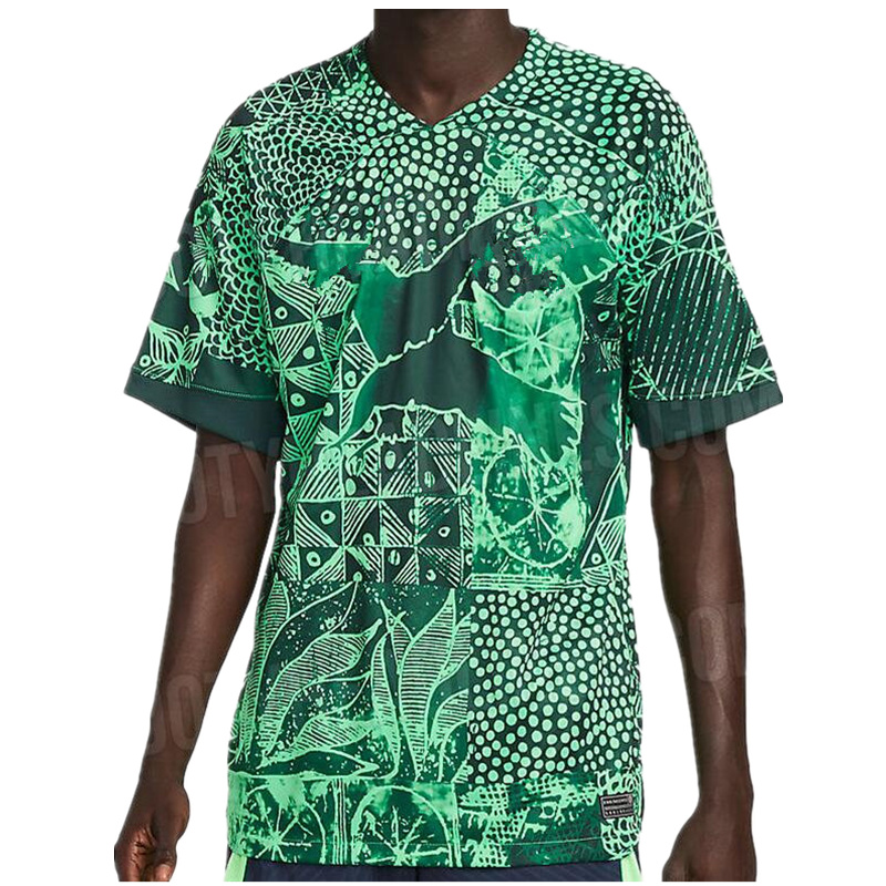 

2022 Nigeria Osimhen soccer jerseys Iwobi VICTOR MUSA Simon Ogu Ejuke MIKEL Moses NDIDI IGHALO Iheanacho Onazi football training shirt