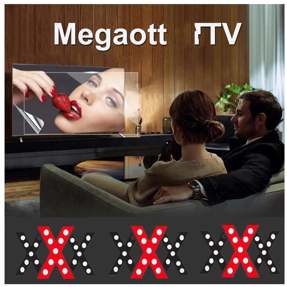 

4K FHD 1080P Leastest Programs Megaott Samrt Android TV Parts ip365 Sell To Arabic France Africa US Canadian Turkish Brazilian Afghanistan Swiss Control Panel