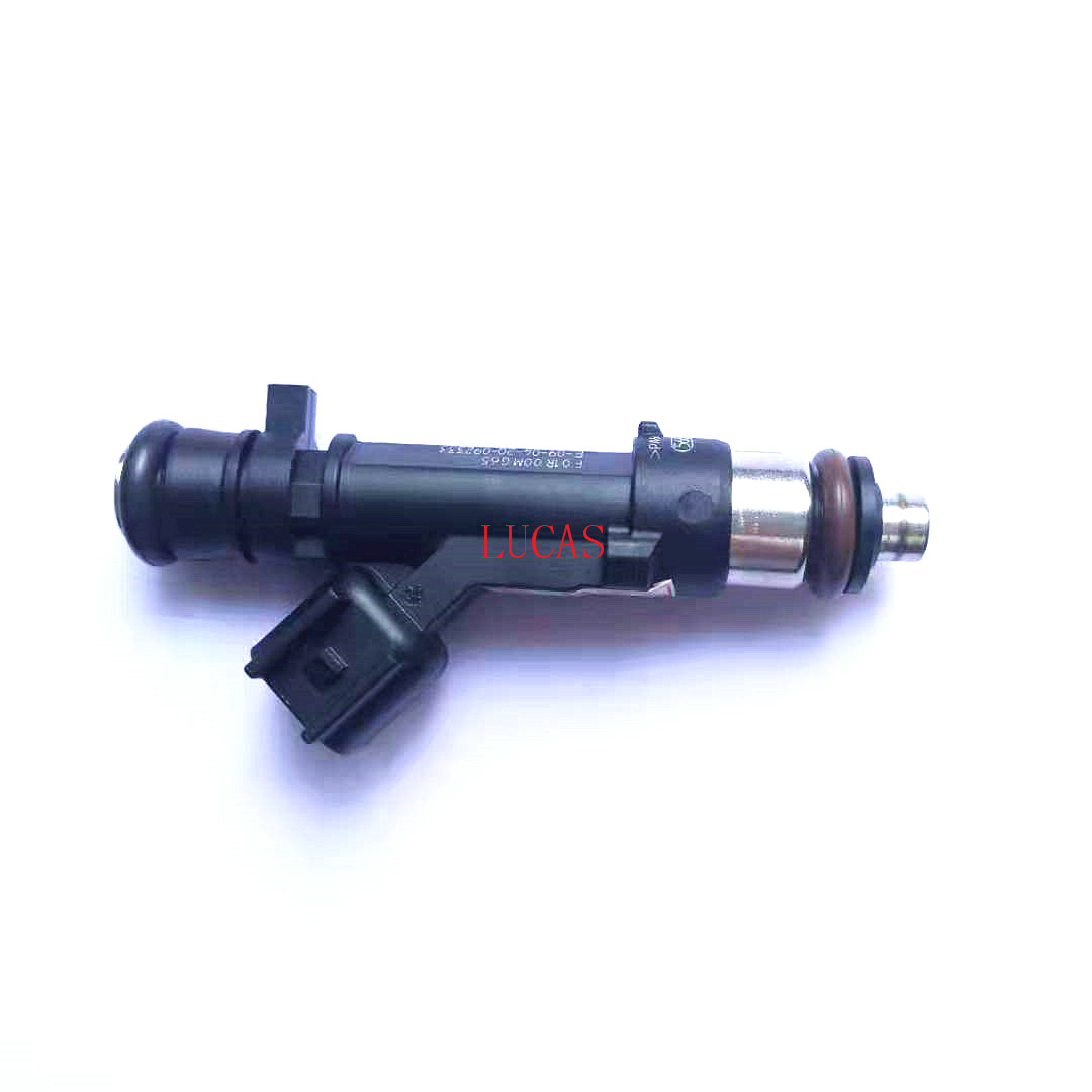 

Fuel Injector Nozzle for Geely EC8 4G20 Engine F01R00MG65