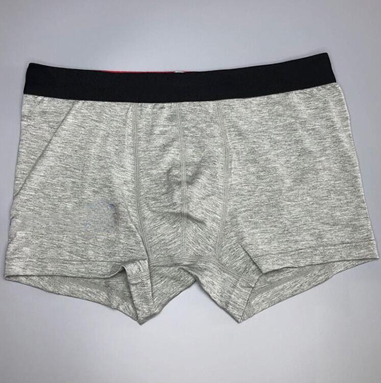 

New Luxury Men Underwear 100% Cotton Soft Boxers Underpants Sexy Male Underwear AA80889, 06