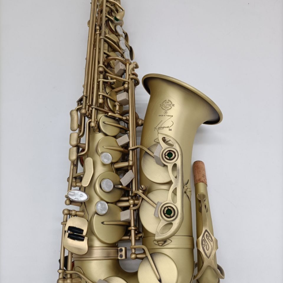 

Classic blue antique copper matt drop E key model R54 alto saxophone woodwind instrument with accessories