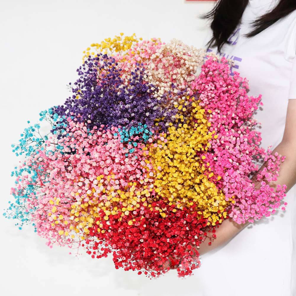 

Preserved Flowers Gypsophila Paniculata Natural Fresh Dried Baby's Breath Flower Bouquet Wedding Arrangement Party Room Decor, Rose pink