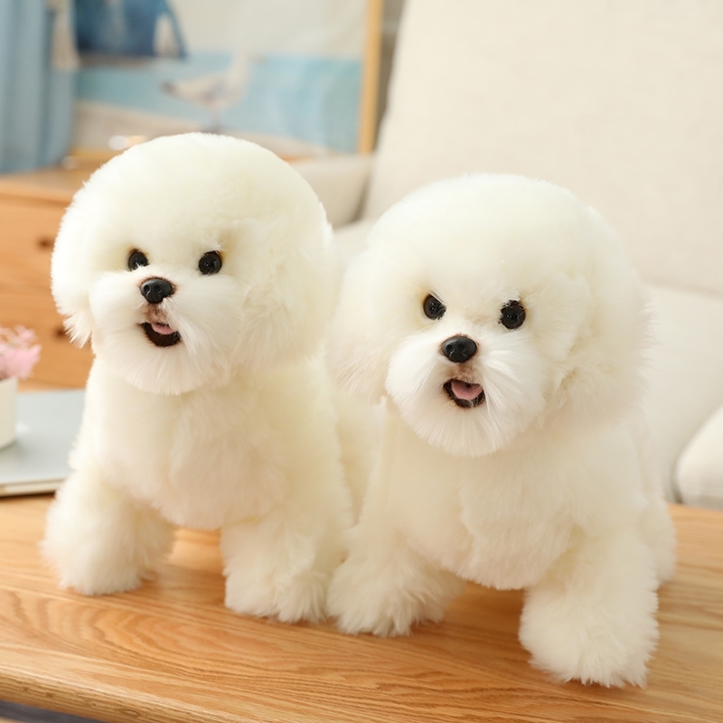 

Cute and realistic Bichon Frise plush toy small simulation dog animal doll girl home decoration children creative Exqui Christmas gift W220402
