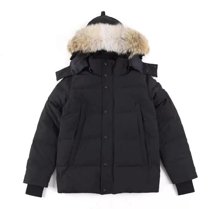 

autumn Mens Winter Down Jackets Landfords Parkas long sleeve thick Coats Men Puffer Jacket xxl, Hi