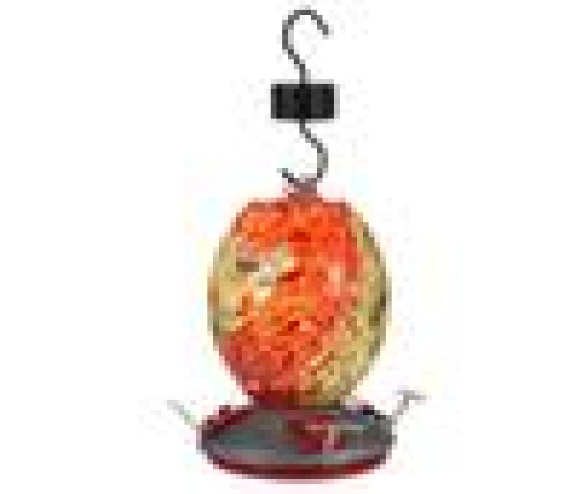 

Other Bird Supplies Painted Glass Hummingbird Feeder Water Flower For Garden